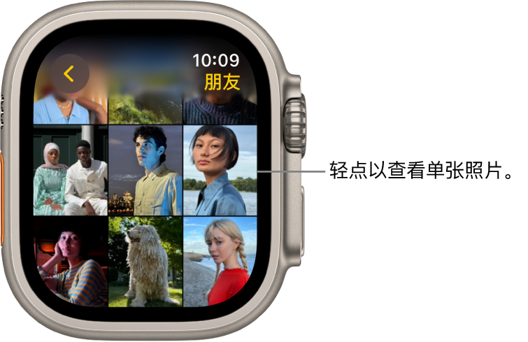 Apple Watch 上“照片” App 的主屏幕,有些照片以网格形式显示。
