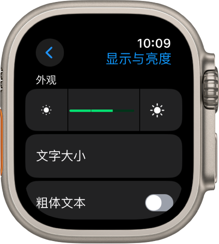 Apple Watch 上的“显示与亮度”设置,顶部是“亮度”滑块,下方是“文字大小”按钮。
