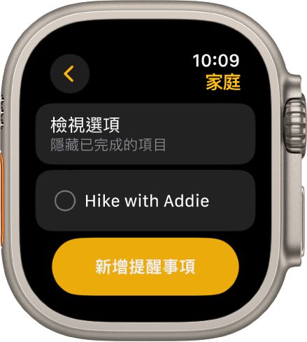 「提醒事項」App 顯示提醒事項。「檢視選項」位於最上方，下方為提醒事項。底部是「新增提醒事項」按鈕。