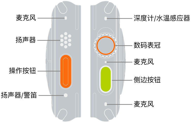 Apple Watch Ultra 的两侧。左图像左侧显示 Apple Watch Ultra 的背面。各个标注从上到下依次指向麦克风、扬声器、操作按钮和警笛发声位置的扬声器端口。右图像右侧显示 Apple Watch Ultra 的背面。各个标注从上到下依次指向深度计/水温感应器、数码表冠、麦克风、侧边按钮和另一个麦克风。