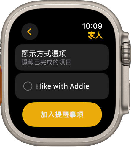 「提醒事項」App 顯示一個提醒。「顯示方式選項」按鈕在最上方，下方帶有提醒。底部是「加入提醒」按鈕。