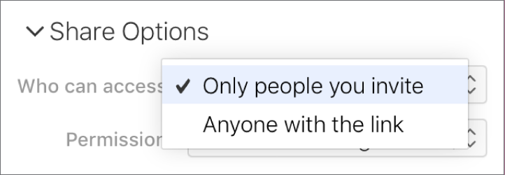 The “Who can access” pop-up menu in Share Options.