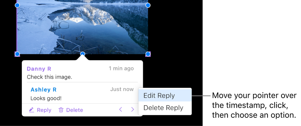 A comment with a reply, and the pointer over the timestamp for the reply; a pop-up menu shows two options: Edit Reply and Delete Reply.