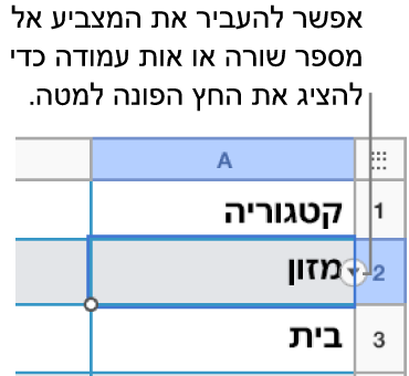 מספר השורה בטבלה נבחר ומופיע חץ למטה מצידו הימני.