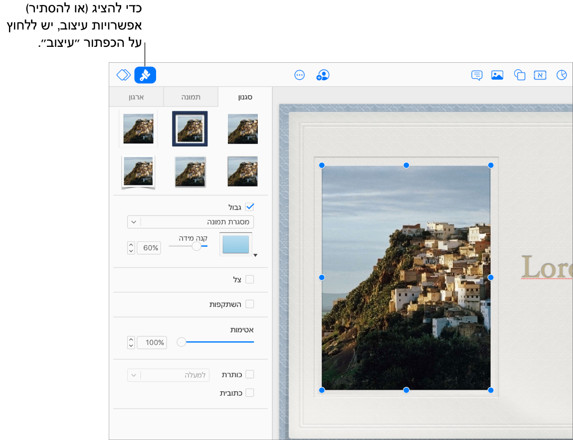 נבחרת תמונה במצגת ופקדים המשמשים לשינוי המראה שלה (לדוגמה, תיבות סימון של גבולות וצללים) מופיעים בסרגל הצד משמאל.