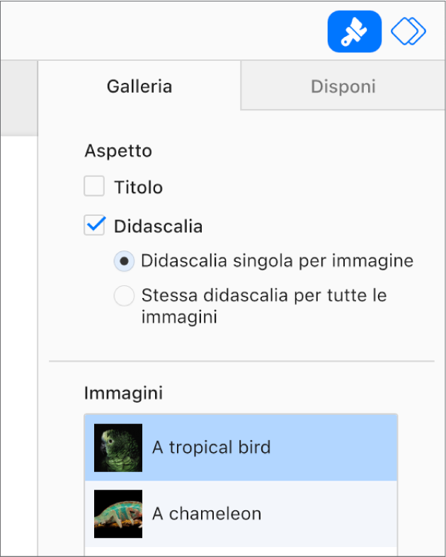 Il pannello Galleria nella barra laterale Formato. È selezionato il riquadro Didascalie, e ci sono opzioni per avere didascalie singole per ciascuna immagine o la stessa per tutte le immagini. Sotto ai controlli ci sono miniature di ciascuna immagine con la relativa didascalia sulla destra.