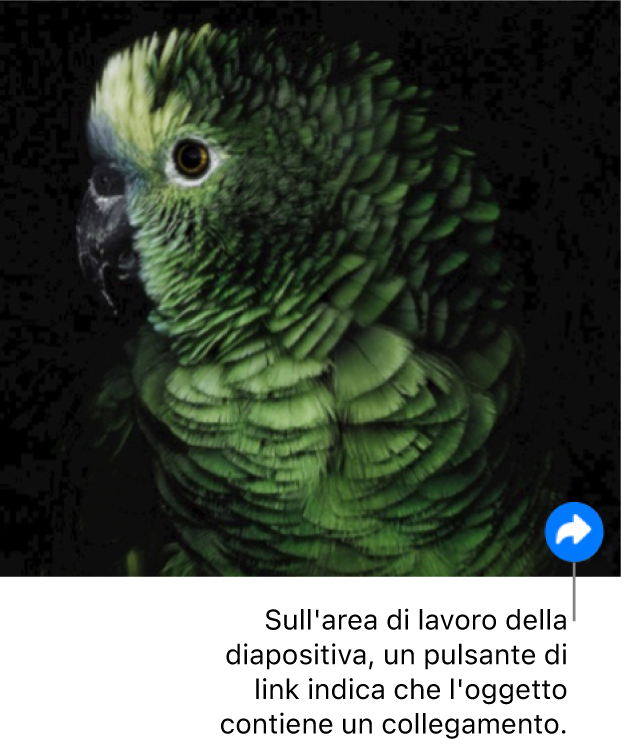 Un’immagine sull’area di disegno di una diapositiva con un pulsante di collegamento (simile a una freccia curva) in basso a destra.