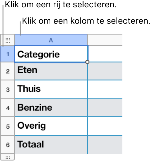 Een geselecteerde tabelrij met bijschriften voor de rij- en kolomselecties.