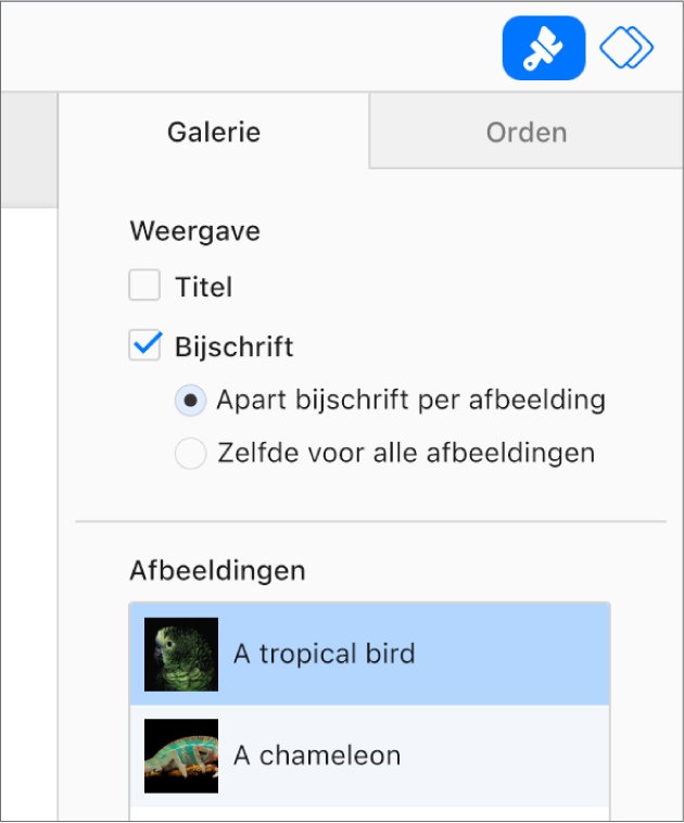 De tab 'Galerie' in de navigatiekolom 'Opmaak'. Het aankruisvak 'Bijschrift' is geselecteerd en er zijn opties voor afzonderlijke bijschriften voor elke afbeelding, of hetzelfde bijschrift voor alle afbeeldingen. Onder de regelaars staan er miniaturen van elke afbeeldingen met de bijschrifttekst rechts.