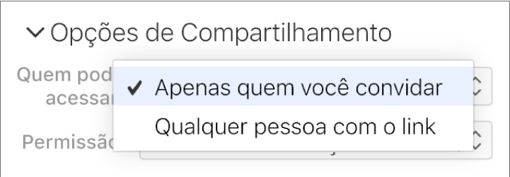 O menu pop-up “Quem pode acessar” nas Opções de compartilhamento.