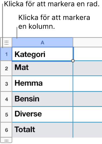 En markerad tabellrad med bubblor för rad- och kolumnmarkeringar.
