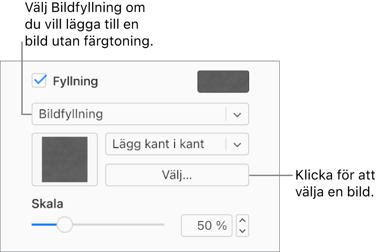 Kryssrutan Fyllning är markerad i sidofältet och Bildfyllning väljs i popupmenyn under kryssrutan. Reglage för att välja bilden, hur den fyller objektet och bildens skala visas under popupmenyn. En förhandsvisning av bildfyllningen visas i rutan (när en bild har valts).