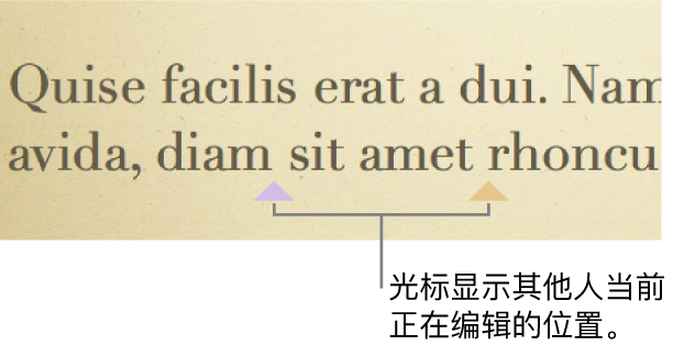 显示其他人在共享演示文稿中所编辑位置的不同颜色光标。