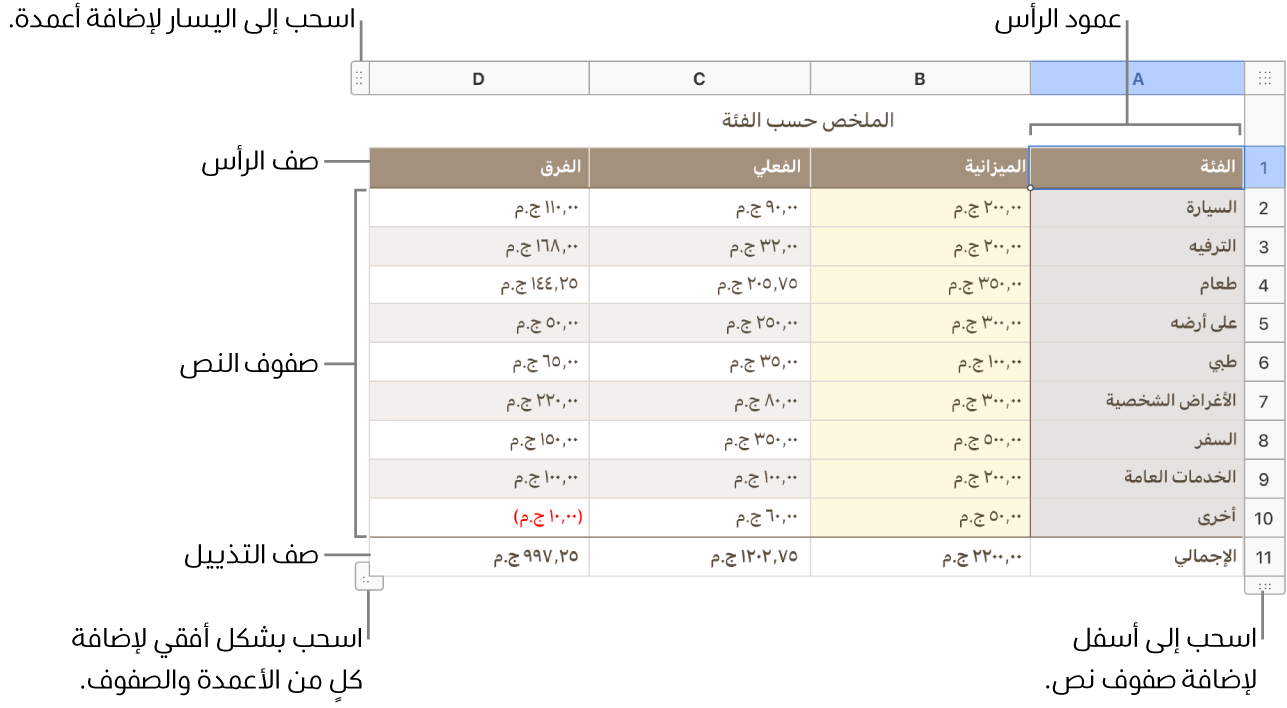 جدول يظهر صفوف وأعمدة الرأس والنص الأساسي والتذييل ومقابض لإضافة أو حذف الصفوف أو الأعمدة.