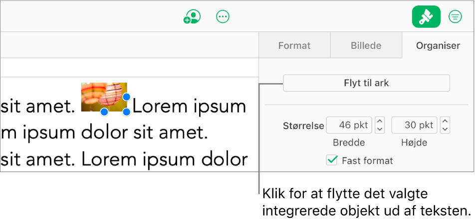 Et integreret billede i et tekstfelt er valgt, og knappen Flyt til ark er synlig under fanen Arranger i indholdsoversigten.