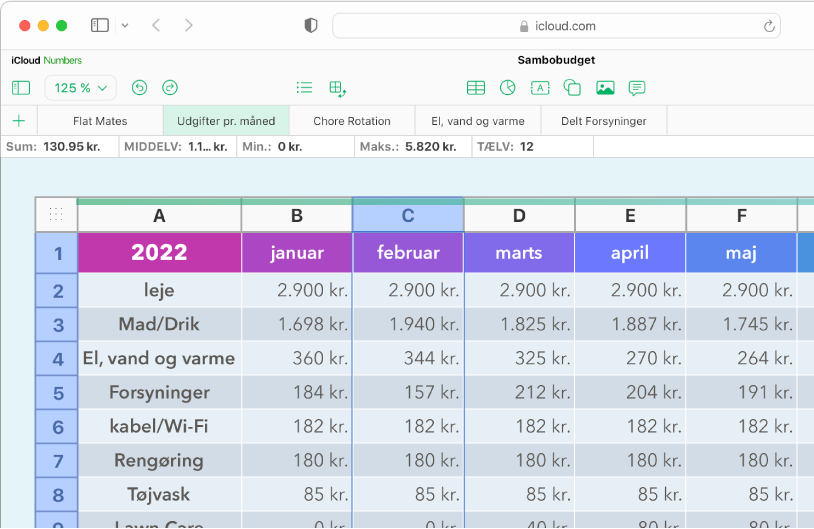 En tabel med overskrifter og data.