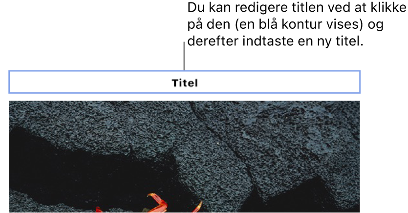 Eksempeltitlen ”Title” vises over et foto. Et blåt omrids rundt om titelfeltet viser, at det er valgt.