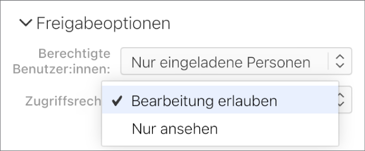 Das Einblendmenü „Berechtigung“ unter „Freigabe-Optionen“ ist geöffnet, mit Optionen, die es Personen erlauben, die Tabellenkalkulation zu ändern oder sie nur anzusehen.