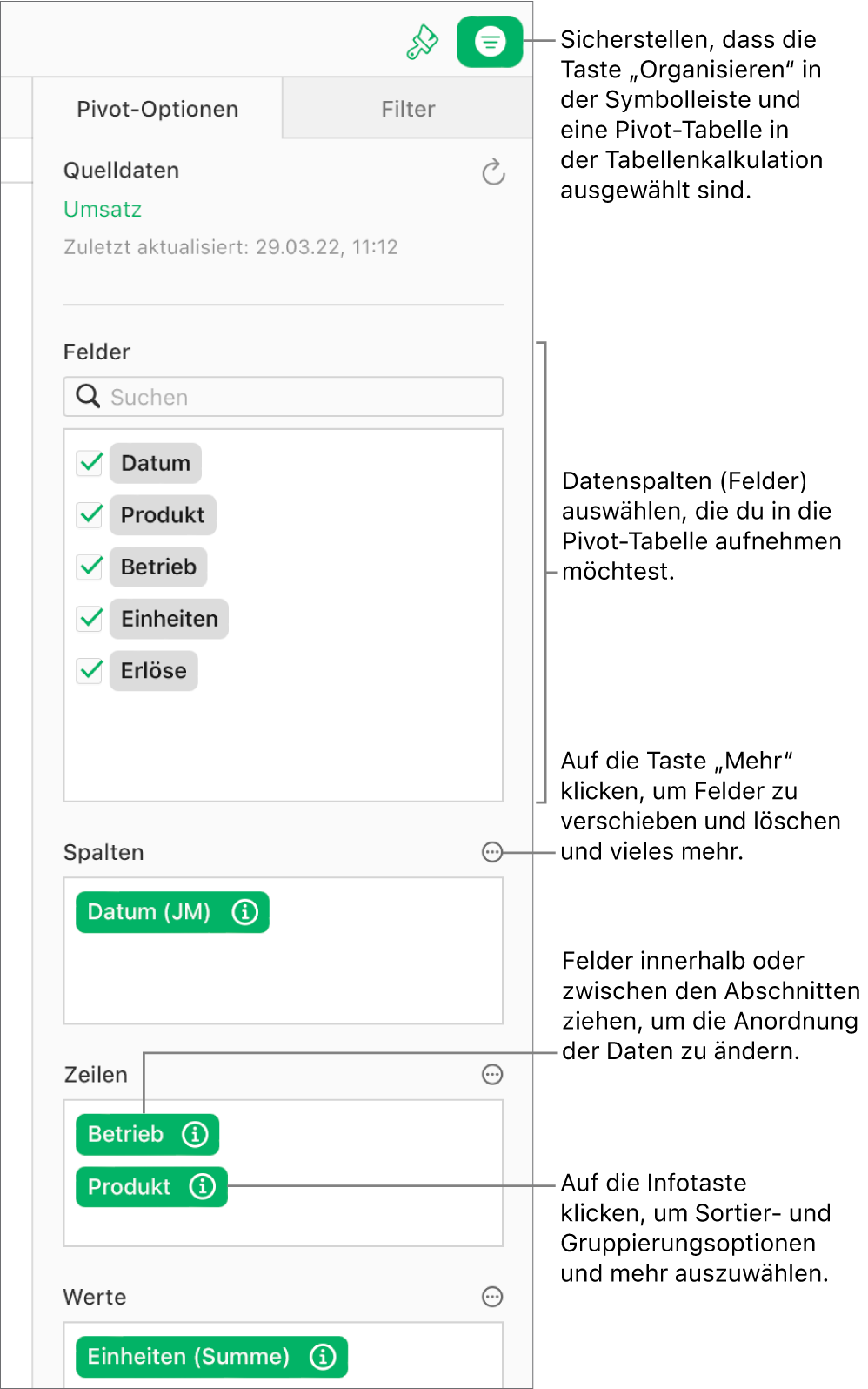 Der Tab „Pivot-Optionen“ in der Seitenleiste „Organisieren“. Es werden Felder in den Abschnitten „Spalten“, „Zeilen“ und „Werte“ angezeigt sowie die Infotaste und die Taste „Mehr“, um die Felder zu bearbeiten und die Pivot-Tabelle zu aktualisieren.