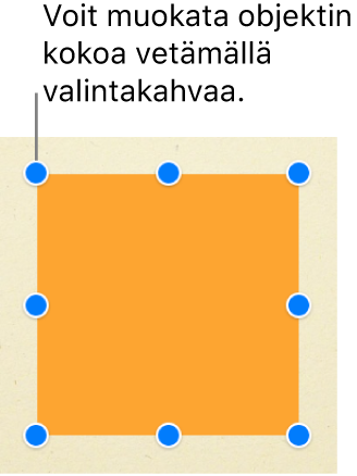 Neliönmuotoinen objekti, jossa näkyvät valintakahvat kaikissa kulmissa ja kunkin sivun keskellä.