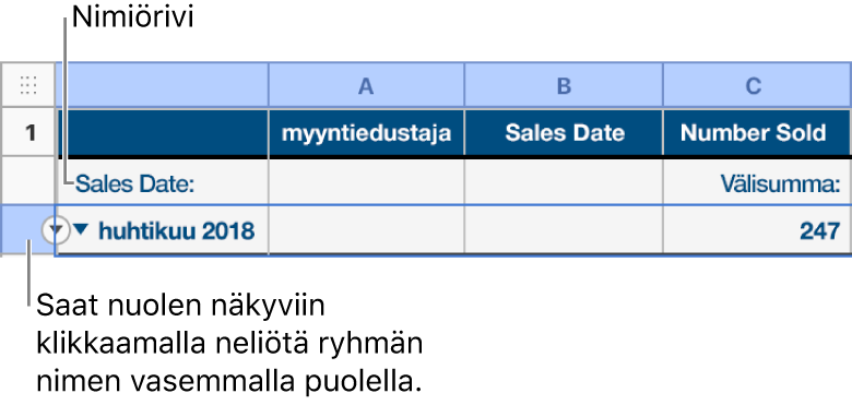 Kategorisoidun taulukon yhteenvetorivi on valittuna ja sen reunuksessa näkyy alanuoli. Yhteenvetorivin yläpuolella olevalla nimiörivillä näytetään kategorian nimi ryhmän nimen yläpuolella sekä funktion nimi (Välisumma) kolmannessa sarakkeessa.