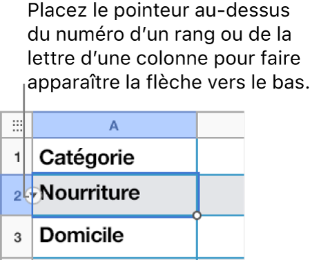 Un numéro de rangs est sélectionné dans un tableau, et une flèche vers le bas est visible à sa droite.