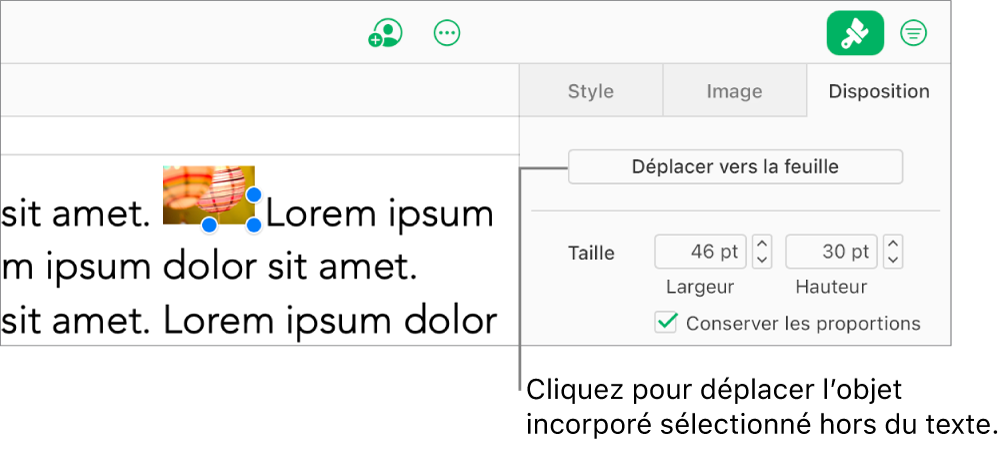 Une image incorporée à une zone de texte est sélectionnée et le bouton Déplacer vers la feuille est proposé dans l’onglet Disposition de la barre latérale.