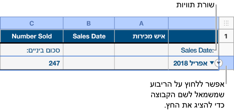 שורת הסיכום נבחרת בטבלה שמסווגת לקטגוריות וחץ כלפי מטה מופיע בגבול שלה; שורת התוויות מעל שורת הסיכום מציגה את שם הקטגוריה מעל שם הקבוצה, ואת השם של פונקציה – ״סכום ביניים״ – בעמודה השלישית.