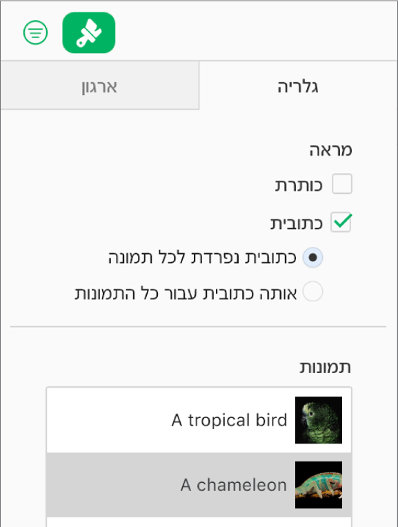 הלשונית ״גלריה״ בסרגל הצד ״עיצוב״. תיבת הסימון ״תיאור״ נבחרת ויש אפשרויות להוסיף תיאור נפרד לכל תמונה או תיאור זהה לכל התמונות. מתחת לפקדים מופיעות תמונות ממוזערות של כל תמונה, עם התיאור שלה בצד ימין.
