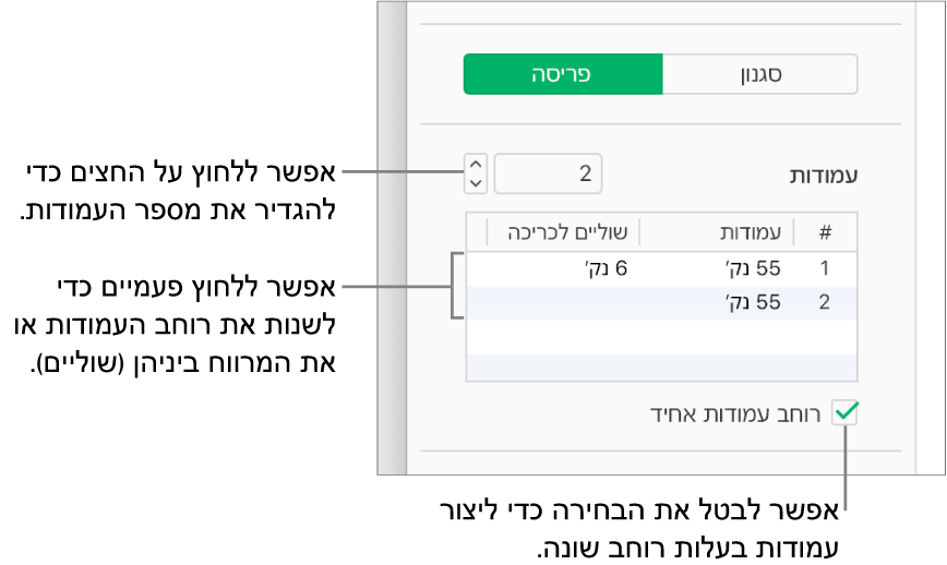 פקדי עמודות המלל בחלונית ״פריסה״ של סרגל הצד ״עיצוב״.