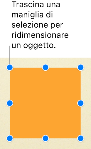 Un quadrato con le maniglie di selezione visibili su ogni angolo e nel punto centrale di ogni lato.