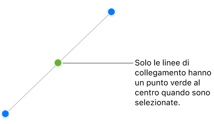 È selezionata una linea di collegamento diritta; alle estremità sono visualizzate le maniglie blu di selezione e al centro un punto verde.