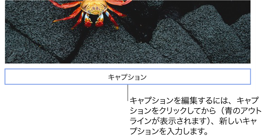写真の下にプレースホルダーのキャプション「キャプション」が表示されています。選択されているキャプションフィールドの周りには青い枠が表示されます。