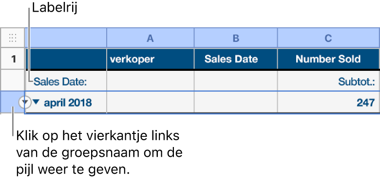 De overzichtsrij is geselecteerd in een gecategoriseerde tabel en er verschijnt een pijl-omlaag op de rand. De labelrij boven de overzichtsrij toont de naam van de categorie boven de groepsnaam en de naam van een functie, 'Subtotaal', in de derde kolom.