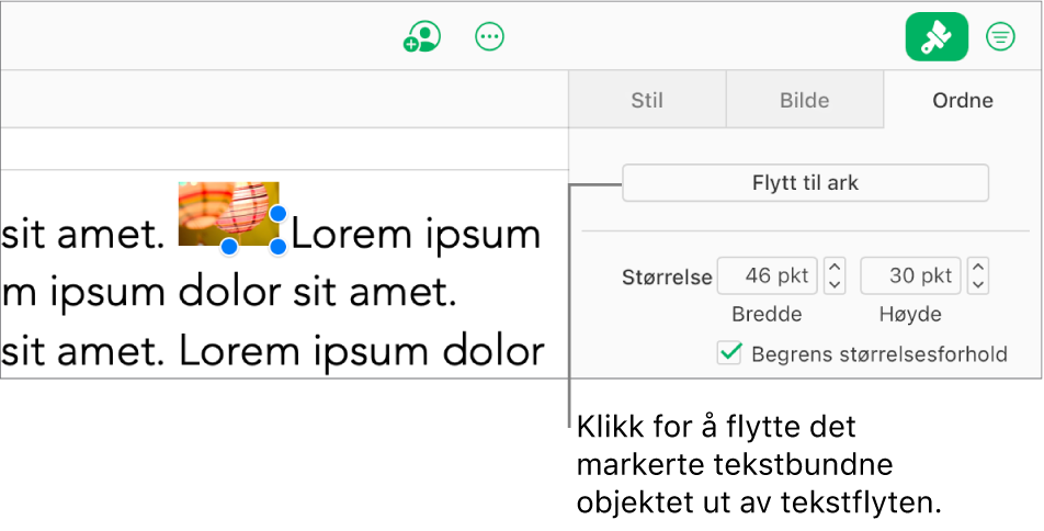 Et tekstbundet bilde i en tekstrute er markert, og Flytt til regneark-knappen vises på Ordne-fanen i sidepanelet.