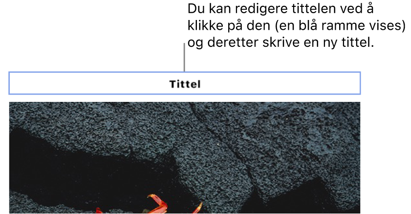 Plassholdertittelen «Tittel» vises over et bilde. Et blått omriss rundt tittelfeltet viser at det er markert.