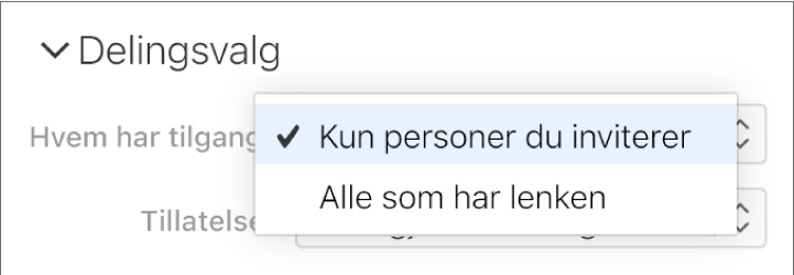 Menyen «Hvem har tilgang» i Delingsvalg.