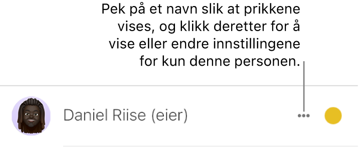 De tre prikkene ved siden av navnet i deltakerlisten.