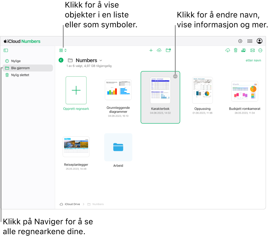 Regnearkhåndtereren i navigeringsvisning viser Numbers-dokumenter som symboler i et rutenett. Mer-knappen (tre prikker) vises i øvre høyre hjørne av det valgte regnearket. Over regnearkene er det en lokalmeny på venstre side i verktøylinjen der du kan velge om du vil vise objekter som symboler eller i en liste. Til høyre i verktøylinjen er det knapper for å laste ned, samarbeide, sende e-post og slette.