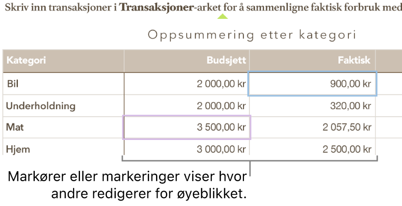 Markører og tabellceller i ulike farger som viser hvor andre redigerer i et delt regneark.