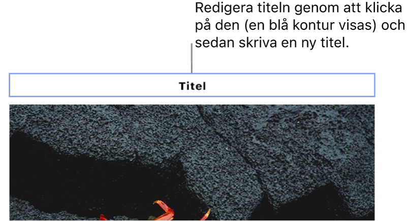 Platshållartiteln ”Titel” visas ovanför ett foto. En blå kontur runt titelfältet visar det som valts.