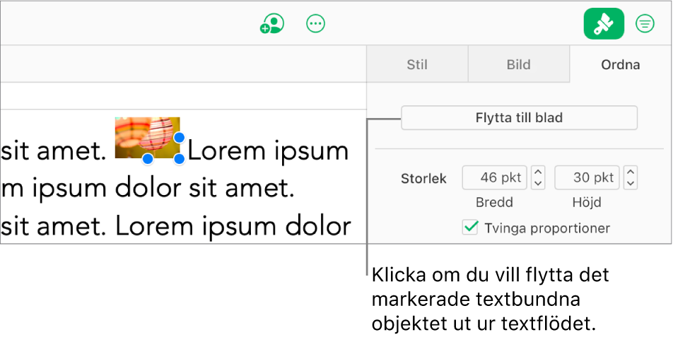En textbunden bild inuti en textruta är markerad och knappen Flytta till blad på sidan är synlig på fliken Ordna i sidofältet.