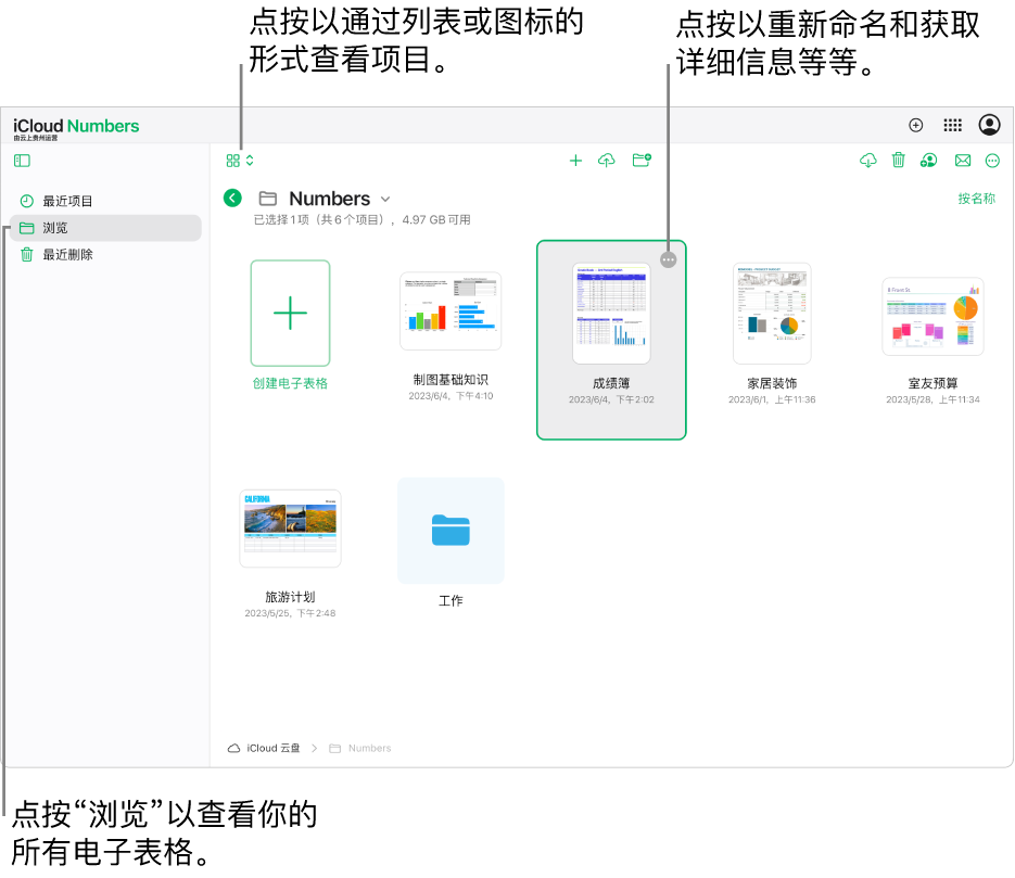 处于浏览视图的电子表格管理器，在网格中以图标形式显示 Numbers 文稿。在选中的电子表格右上角可以看到“更多”按钮（三个圆点）。在电子表格上方，工具栏左侧的弹出式菜单可用于选取以将项目显示为图标或列表。工具栏右侧的按钮可用于下载、协作、发送电子邮件或删除。