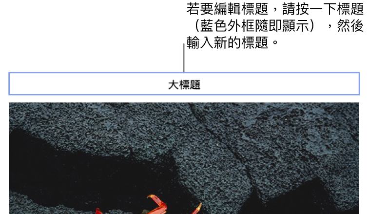暫存區標題「標題」出現在照片上方；標題欄位周圍顯示藍色外框，代表已選取。