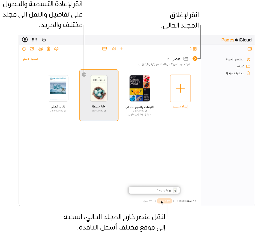 في مدير المستندات في طريقة عرض التصفح، يُسحَب مستند إلى موقع جديد (مجلد Pages) في أسفل النافذة. أسفل شريط الأدوات، يظهر زر "الرجوع" على يمين اسم المجلد الحالي (Work).