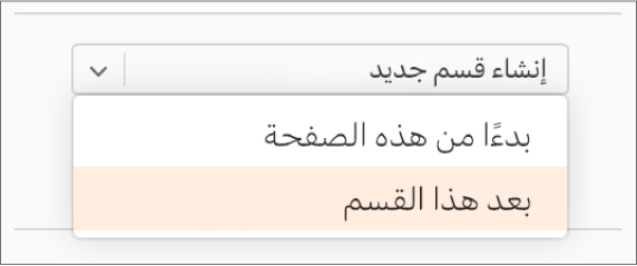 القائمة المنبثقة "إنشاء قسم جديد" مفتوحة، والخيار "بعد هذا القسم" محدد.