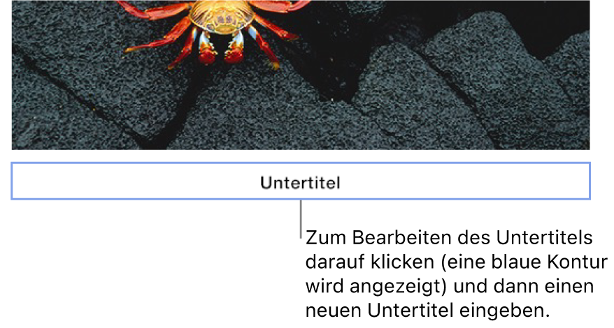 Der Platzhalteruntertitel „Untertitel“ erscheint unter einem Foto. Eine blaue Kontur um das Untertitelfeld herum zeigt an, dass es ausgewählt wurde.
