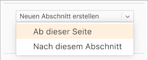 Das Einblendmenü „Neuen Abschnitt erstellen“ ist geöffnet und „Ab dieser Seite“ ausgewählt.