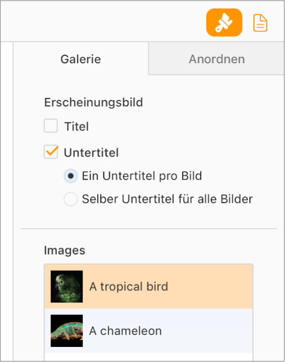 Der Tab „Galerie“ in der Seitenleiste „Format“. Das Markierungsfeld „Untertitel“ ist aktiviert und du kannst jedem Bild einen eigenen Untertitel oder allen Bildern denselben Untertitel hinzufügen. Unterhalb der Steuerelemente befinden sich Miniaturen der einzelnen Bilder mit dem Untertitel rechts daneben angezeigt.