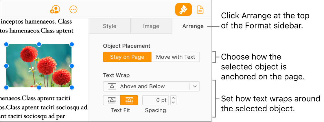 An image is selected in the document body; the Arrange tab of the Format sidebar shows the object is set to Stay on Page with text wrapping above and below the object.